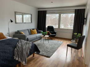 2BR big Apartment, free parking in the street, Allitie 8, Oulu